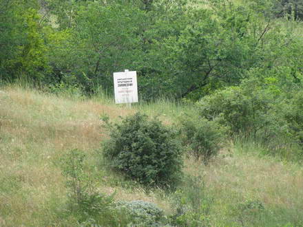 Karadag Nature Reserve