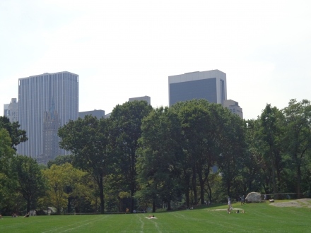 Skyscrapers peeking through the trees of Central Park