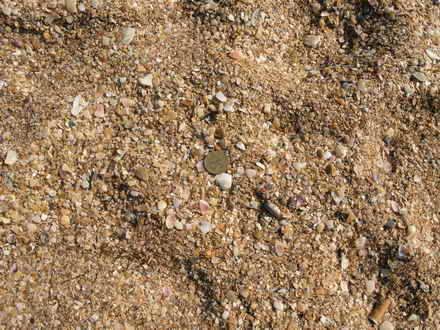 The structure of marine sand
