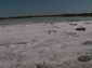Salt beach