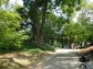 Central Park Path